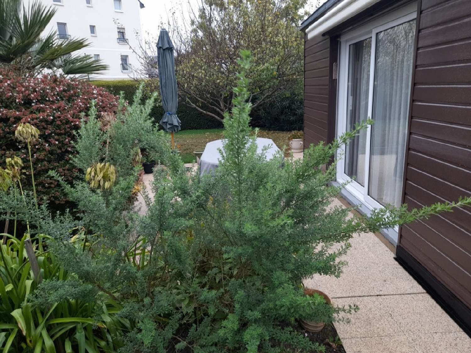 kaufen Haus Sarzeau Morbihan 3
