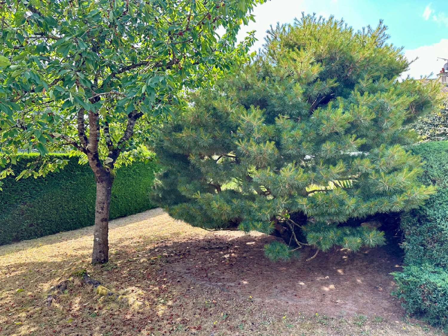 te koop huis Saumur Maine-et-Loire 4