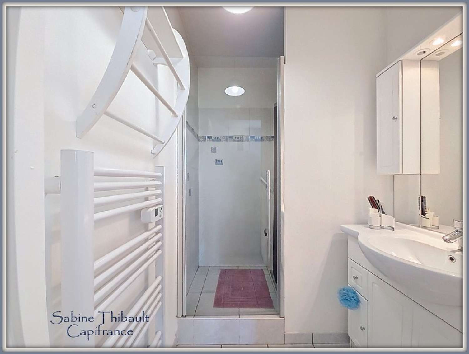  te koop huis Savigné-sur-Lathan Indre-et-Loire 4