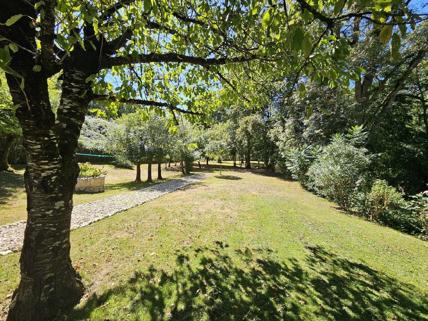  te koop huis Sempesserre Gers 5