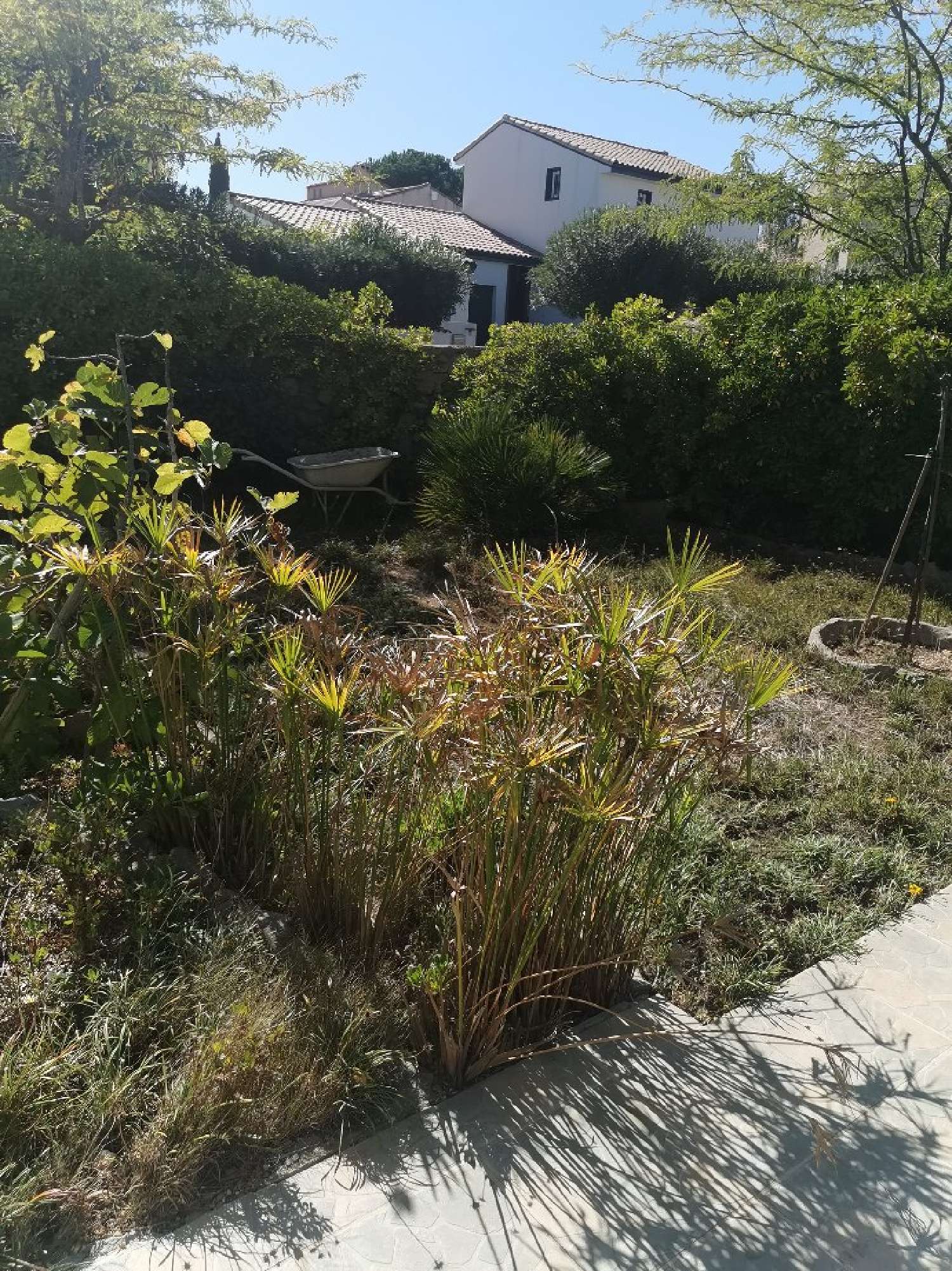  en venta casa Sérignan Hérault 7