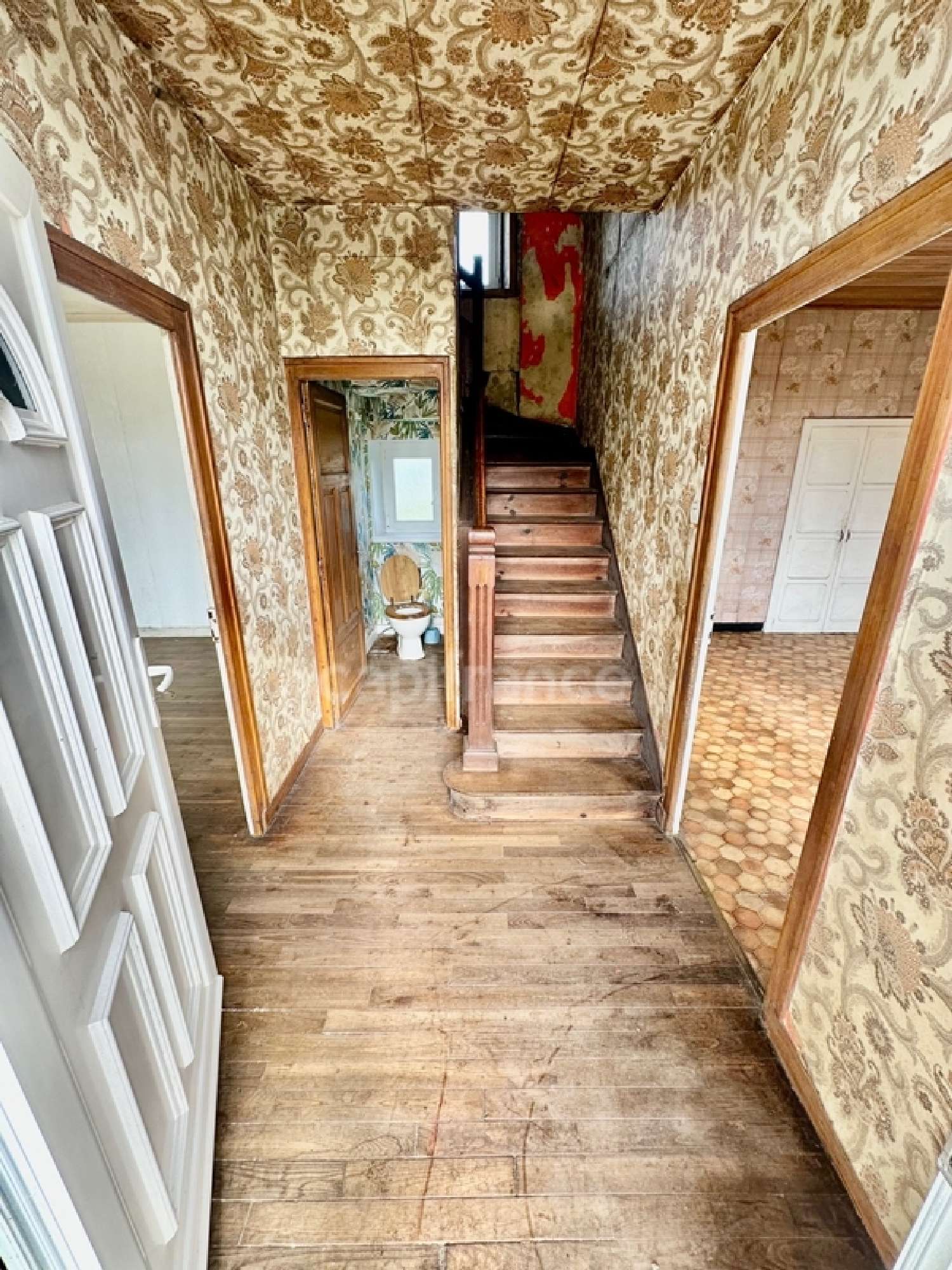 kaufen Haus Spézet Finistère 4