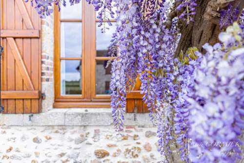 Sully-sur-Loire Loiret maison foto 7150368