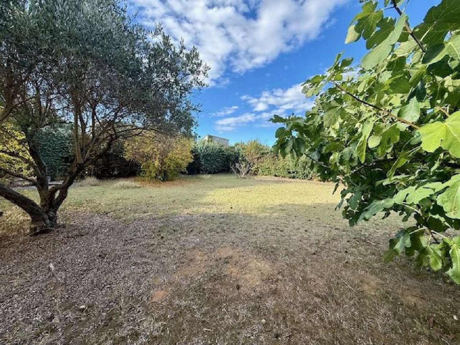  kaufen Haus Teyran Hérault 5