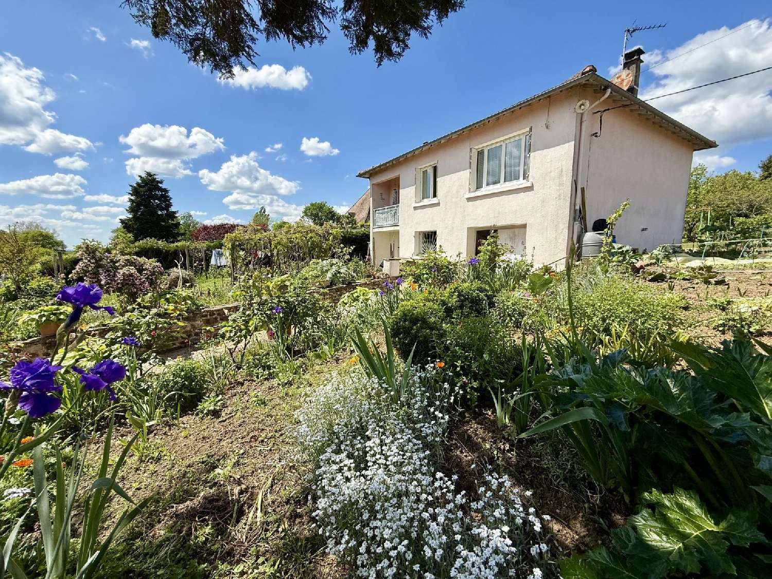  à vendre maison Thiviers Dordogne 7