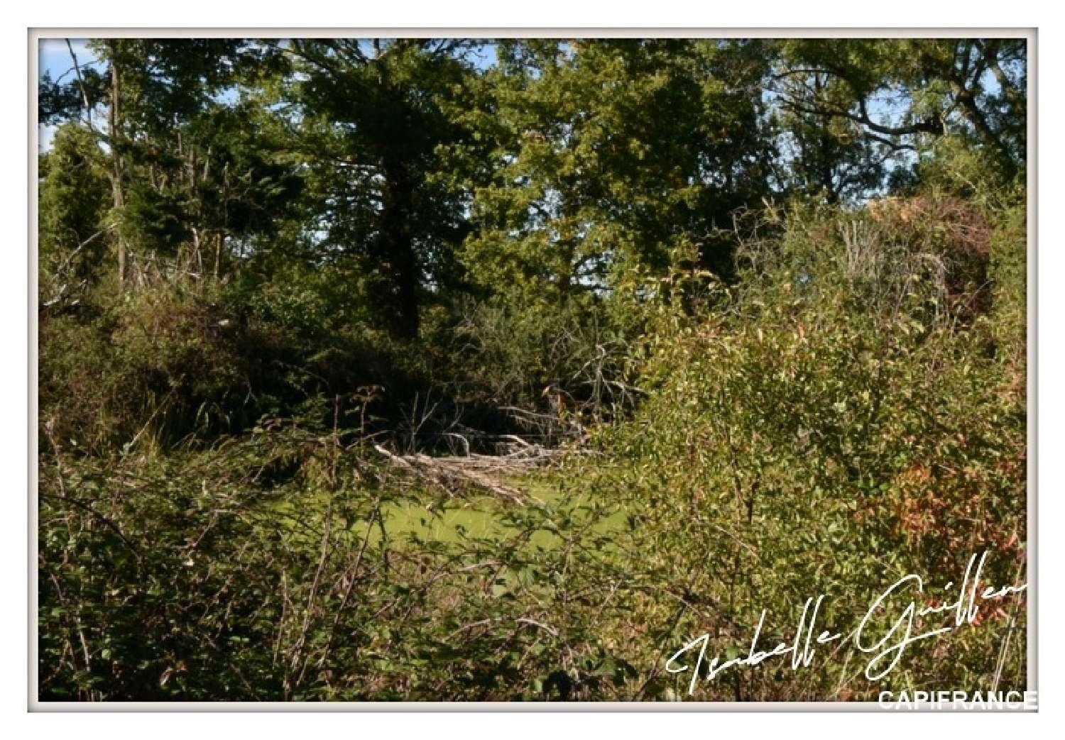  for sale house Touchay Cher 3