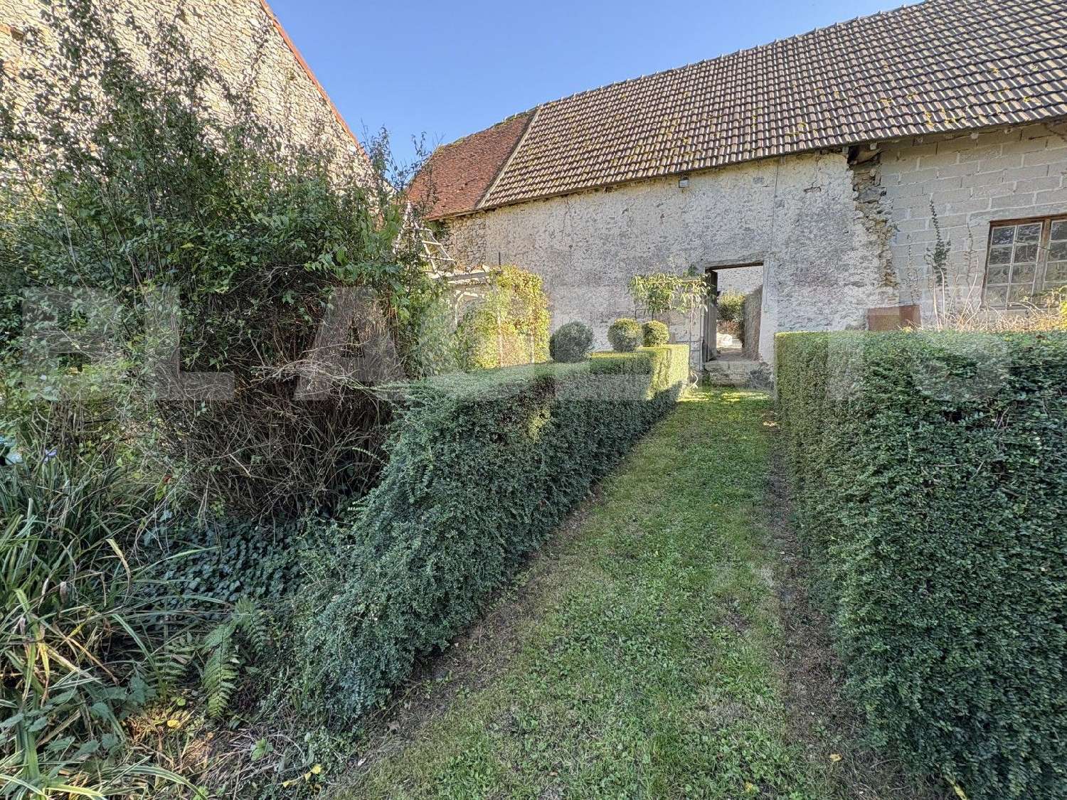  kaufen Haus Tréfols Marne 1