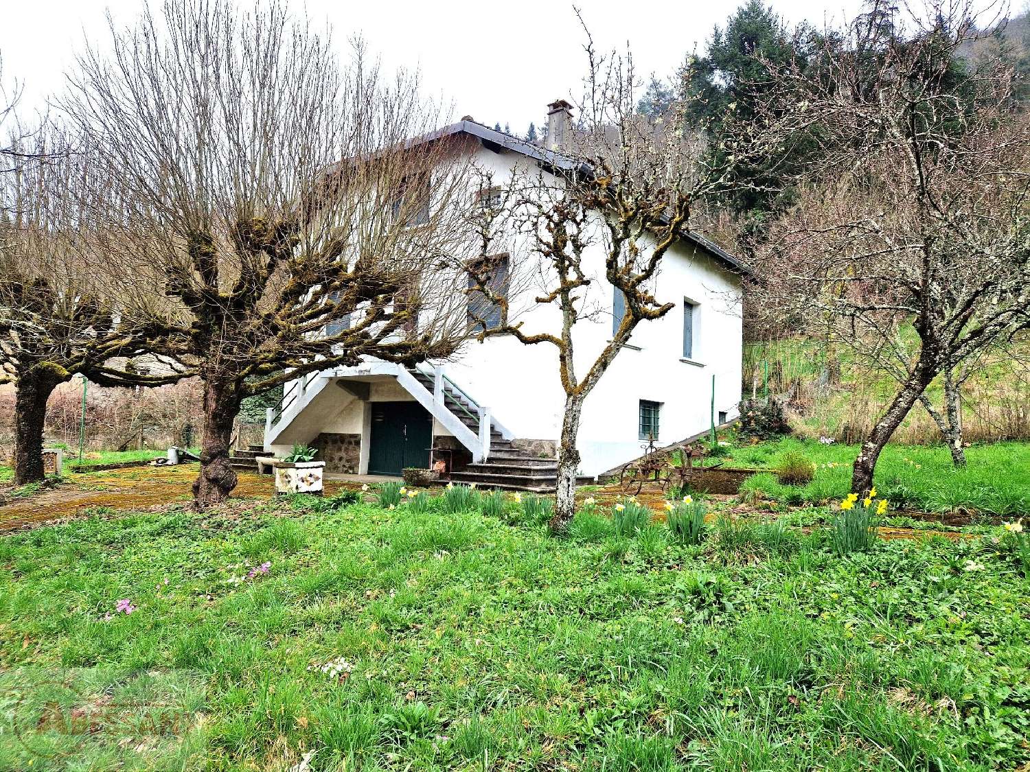  for sale house Vabre Tarn 3