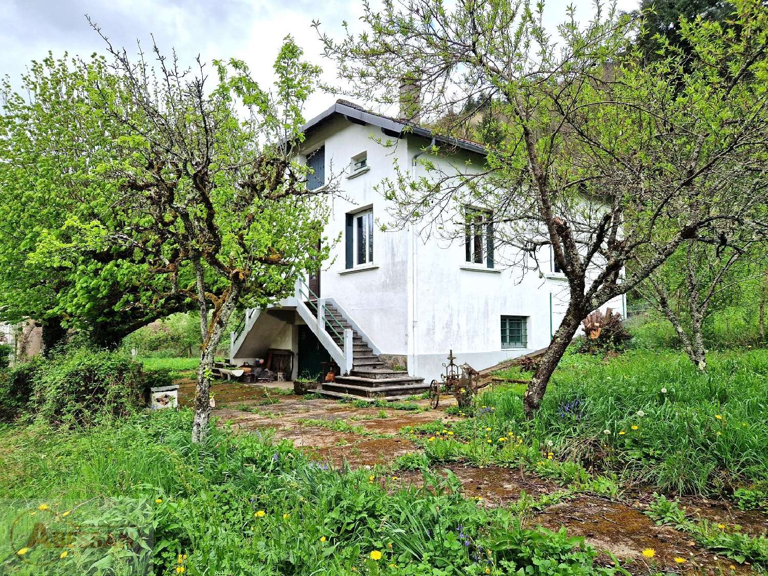  for sale house Vabre Tarn 7