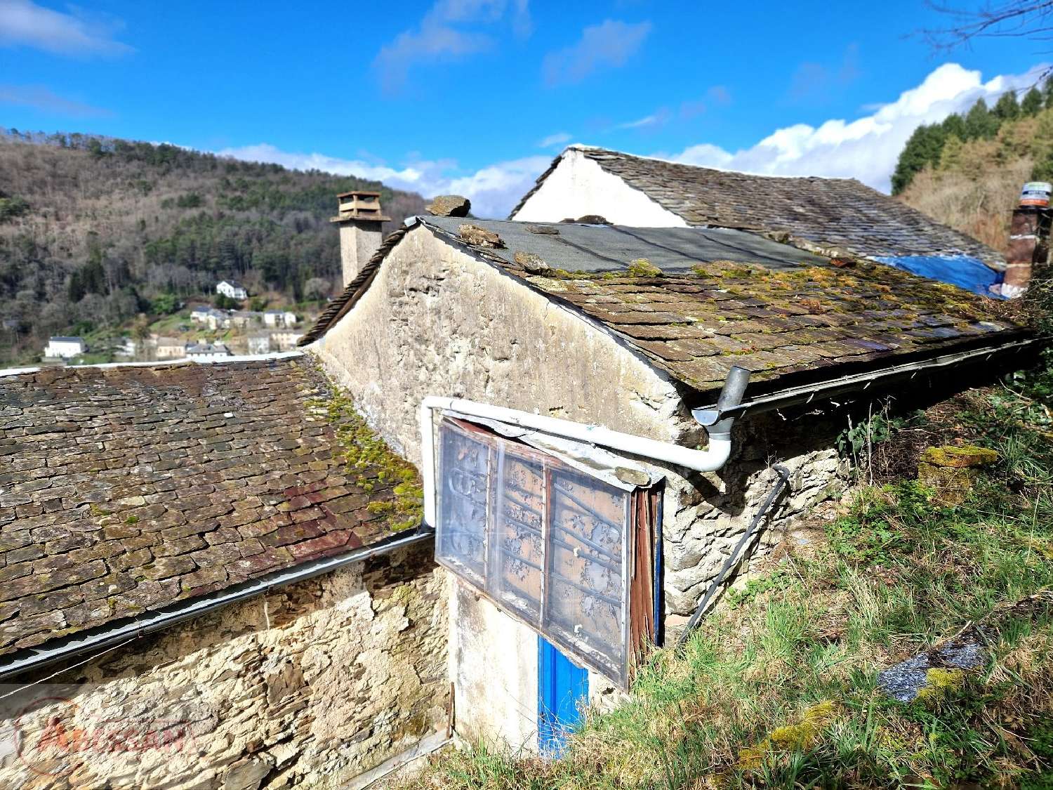  kaufen Haus Vabre Tarn 6