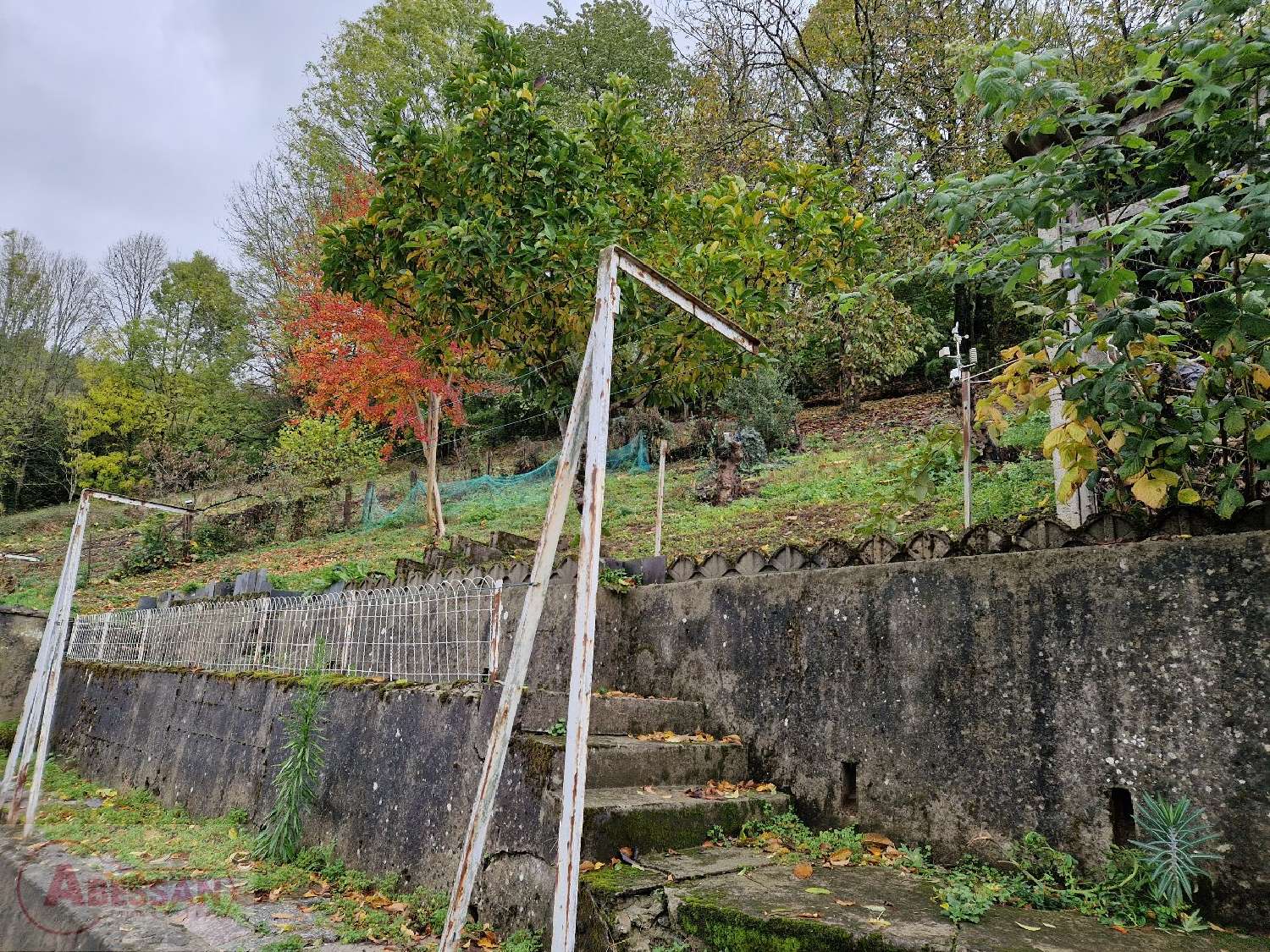  for sale house Vabre Tarn 6