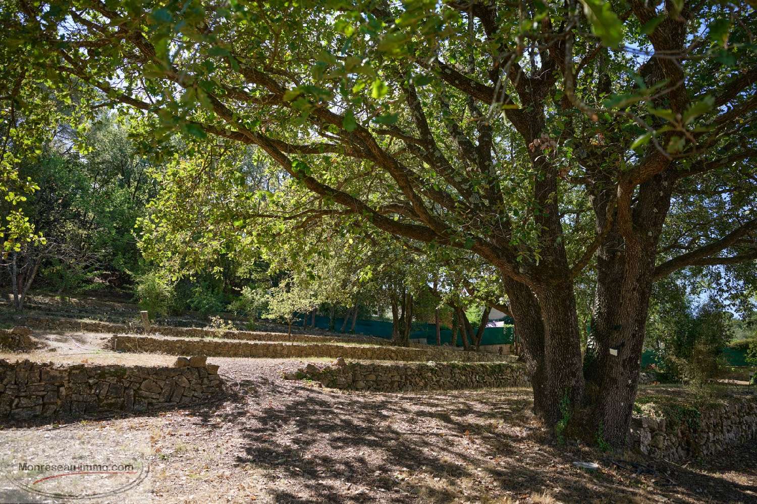  à vendre maison Valbonne Alpes-Maritimes 8