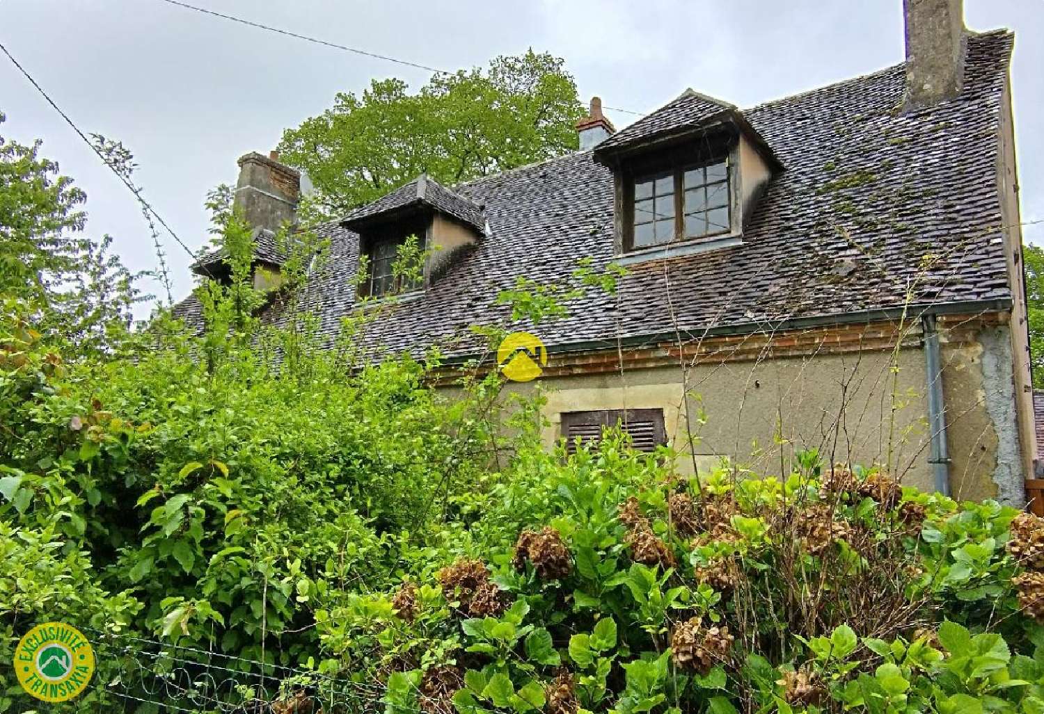  à vendre maison Vatan Indre 1