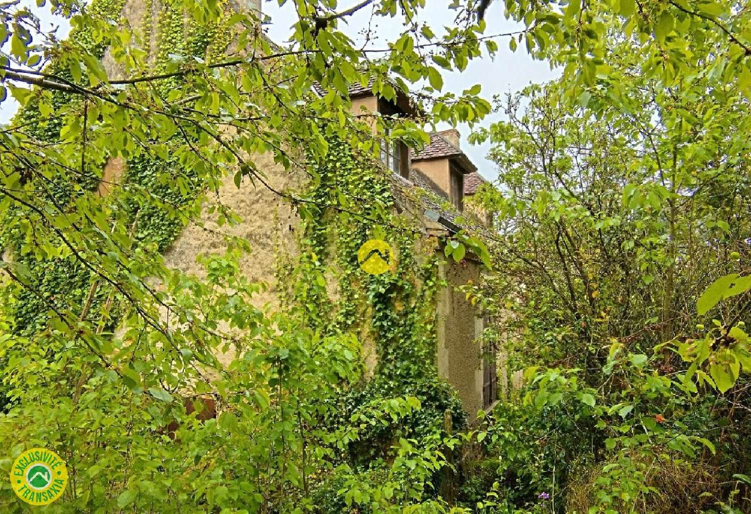  à vendre maison Vatan Indre 3