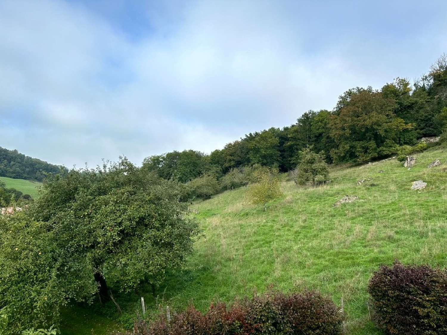  te koop huis Venarey-les-Laumes Côte-d'Or 8