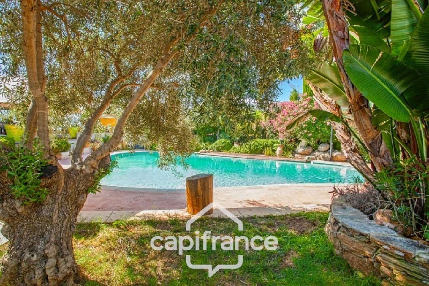  te koop huis Venzolasca Haute-Corse 6