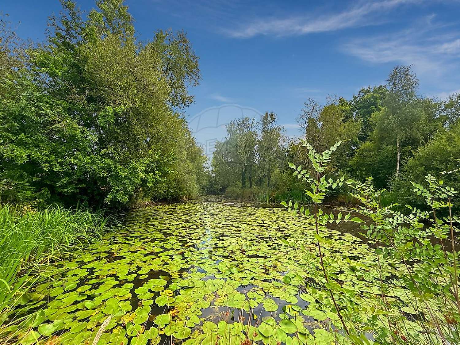  for sale house Vertou Loire-Atlantique 2