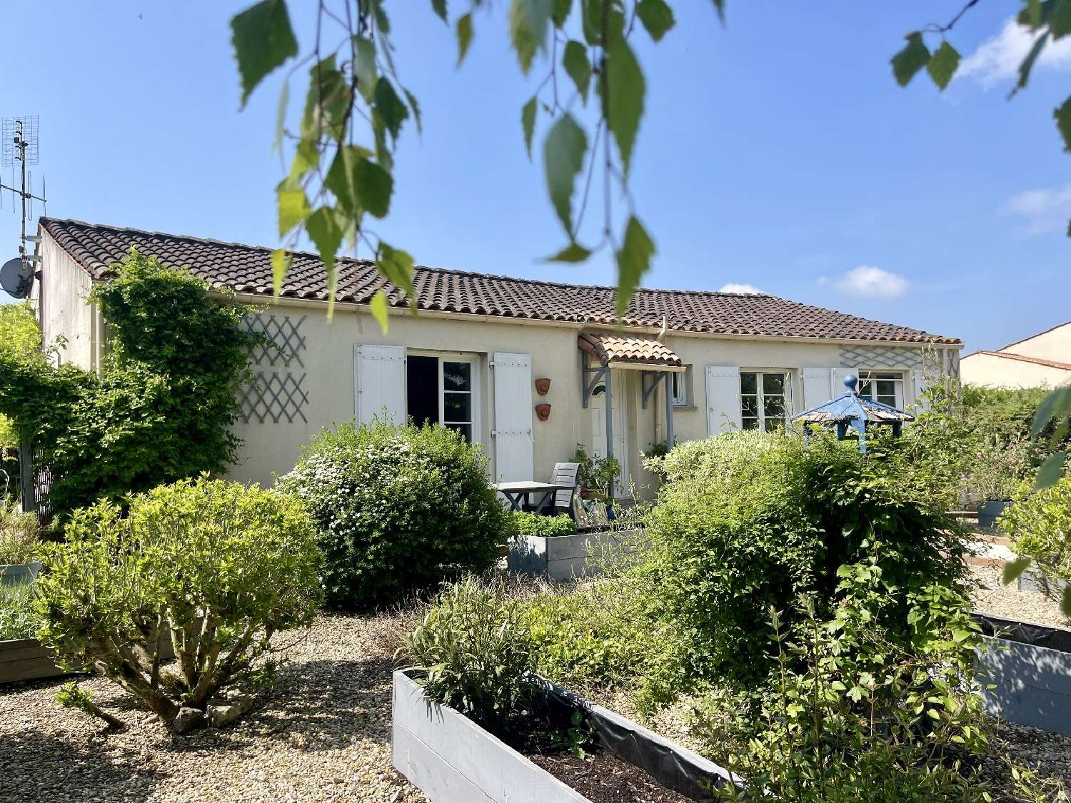  for sale house Vervant Charente-Maritime 1