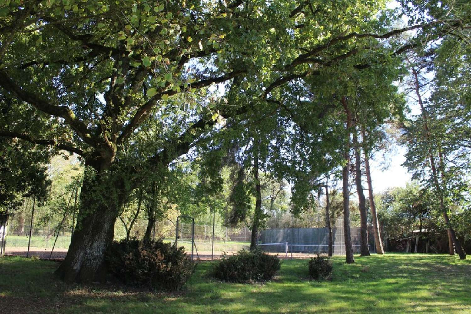  for sale house Vezins Maine-et-Loire 8