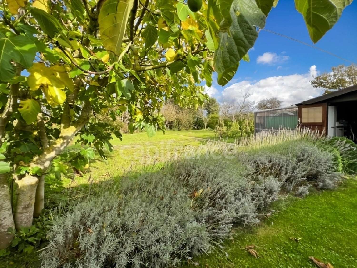  en venta casa Vieille-Église Pas-de-Calais 1