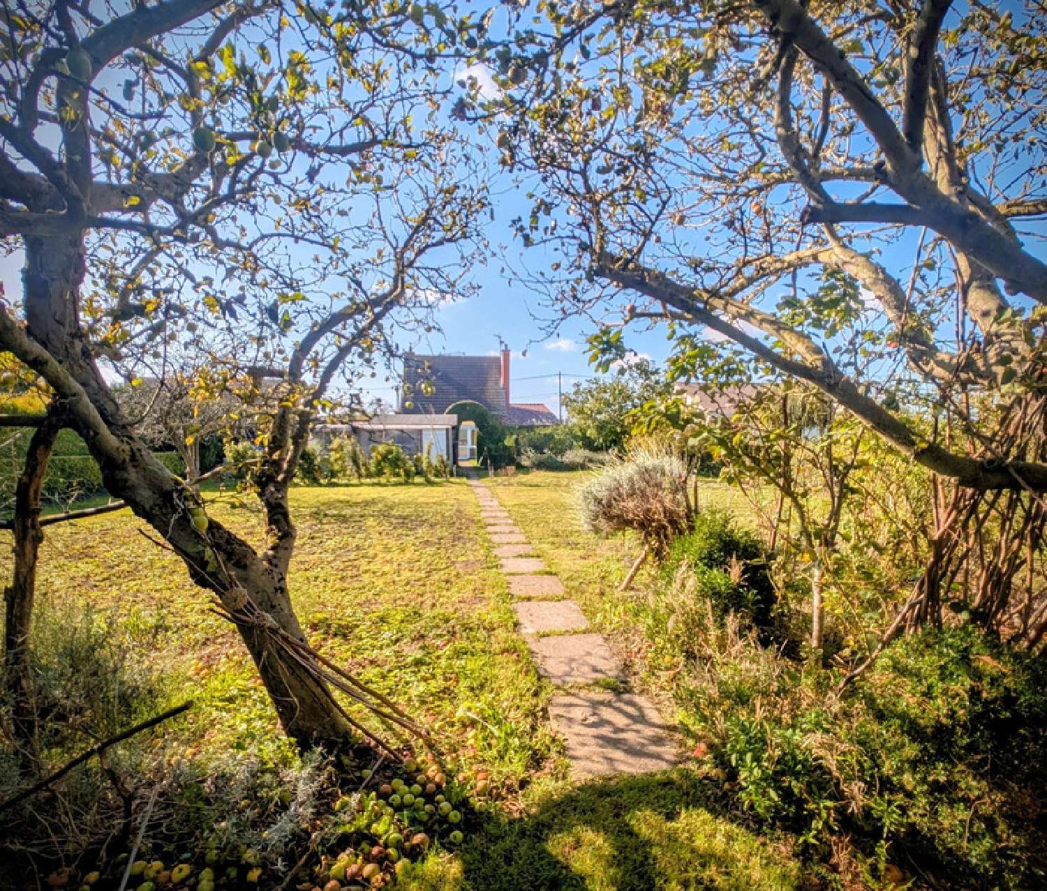  te koop huis Vieille-Église Pas-de-Calais 7