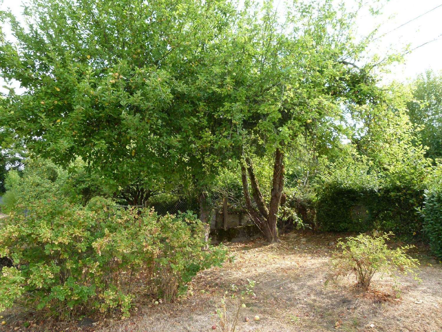  for sale house Vijon Indre 7