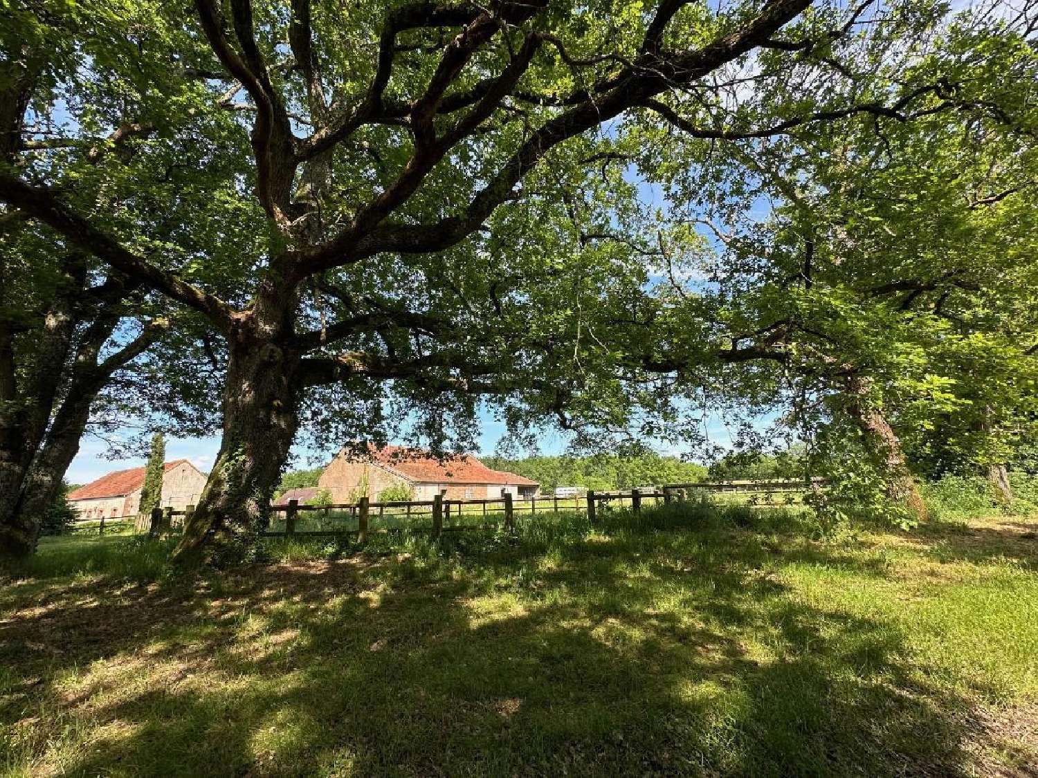  for sale house Villemurlin Loiret 2