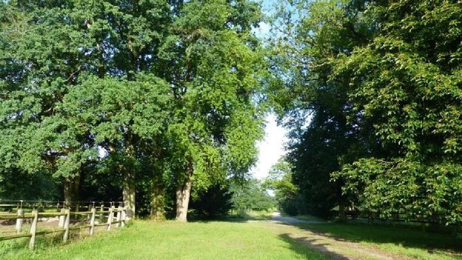  for sale house Villemurlin Loiret 4