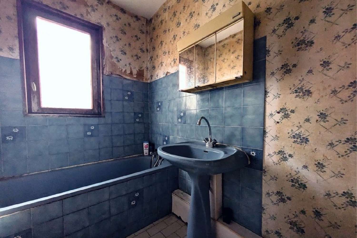  te koop huis Villenave-d'Ornon Gironde 5