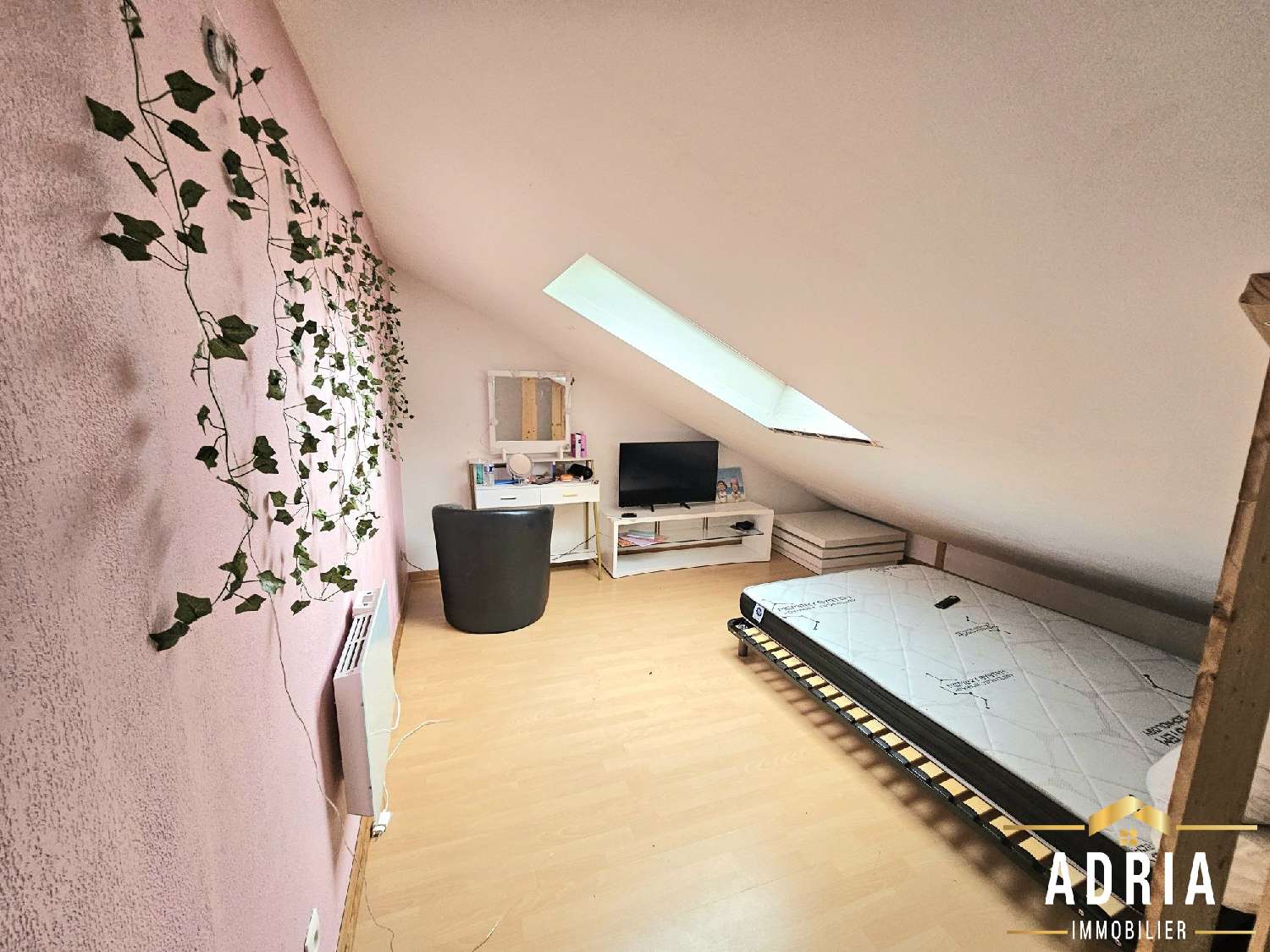 for sale house Villerupt Meurthe-et-Moselle 5