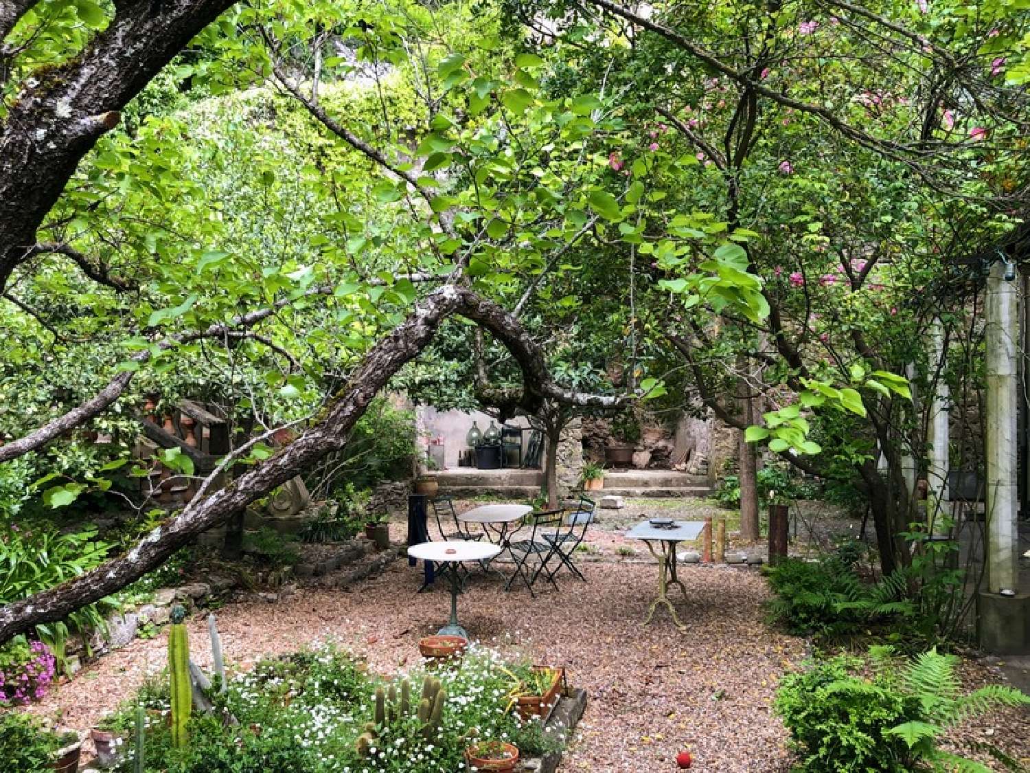  à vendre maison bourgeoise Barjols Var 2