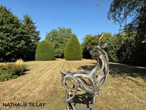  à vendre maison bourgeoise Vennecy Loiret 5