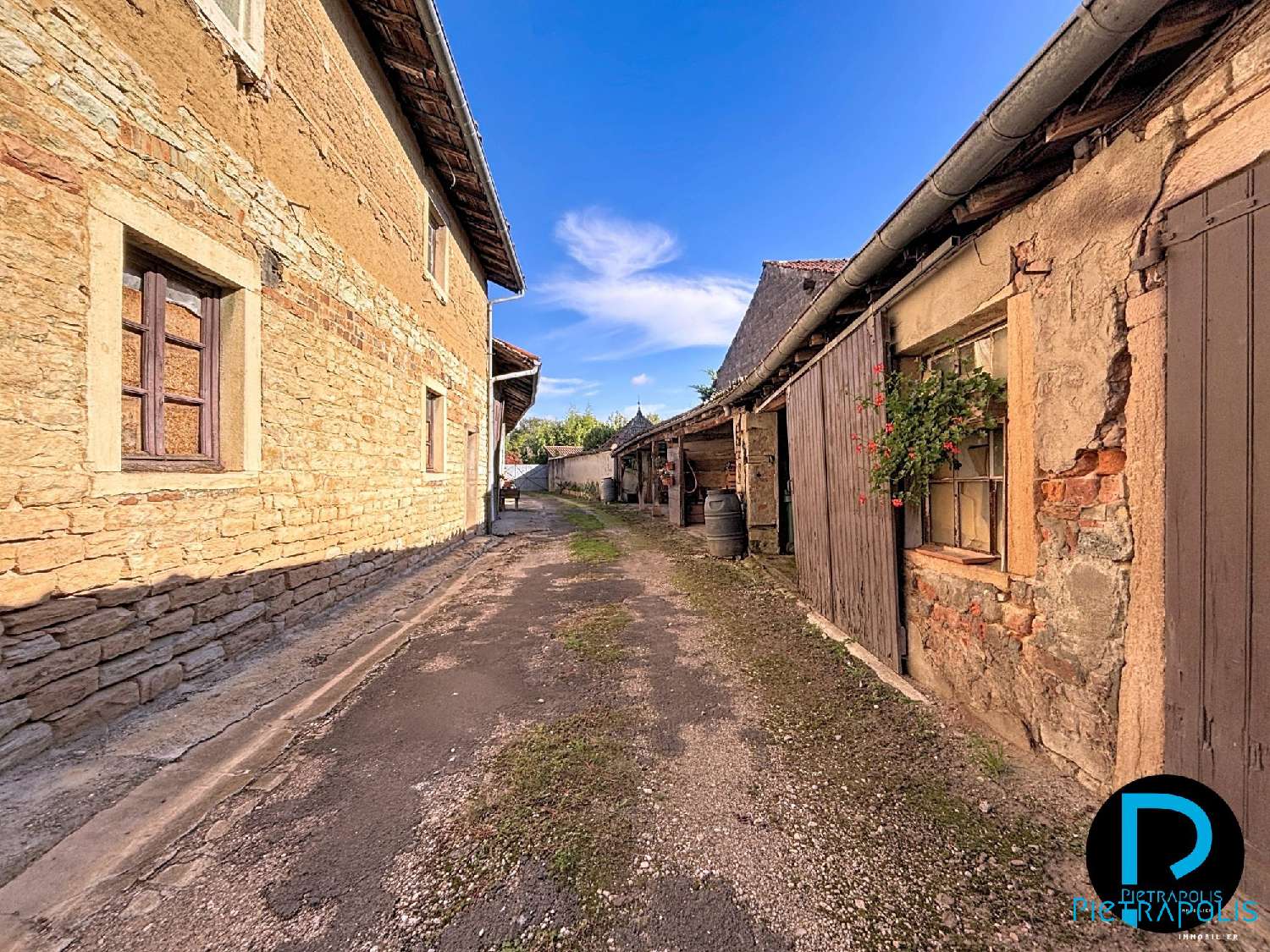  te koop kantoor Bâgé-le-Châtel Ain 3