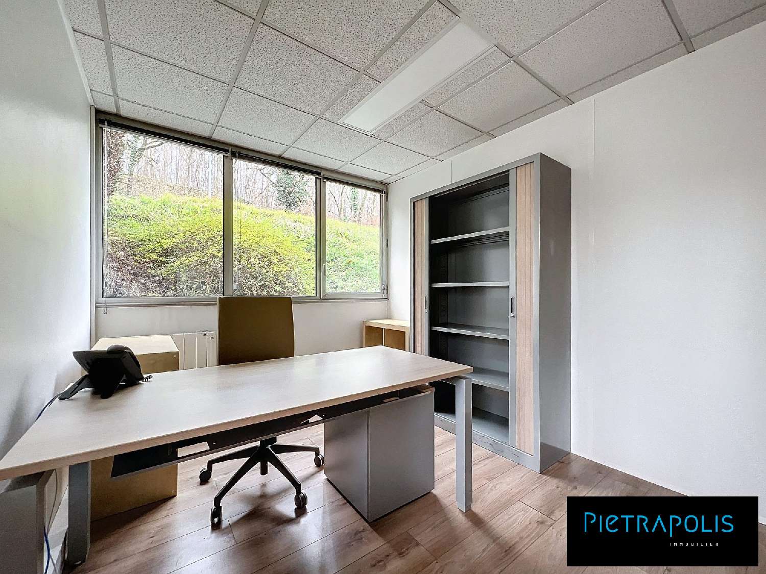  en venta oficina Lissieu Rhône 5