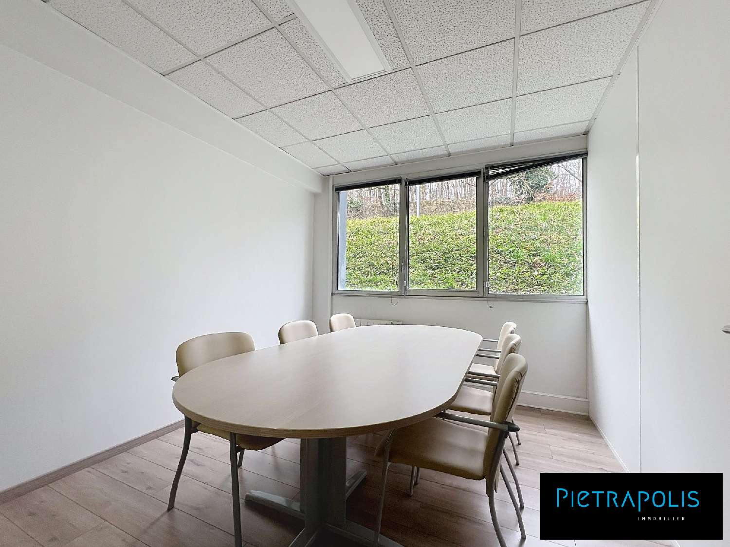  en venta oficina Lissieu Rhône 6