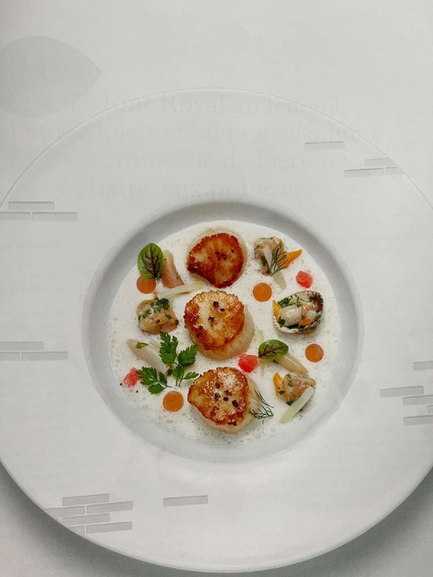  te koop restaurant Cogolin Var 5