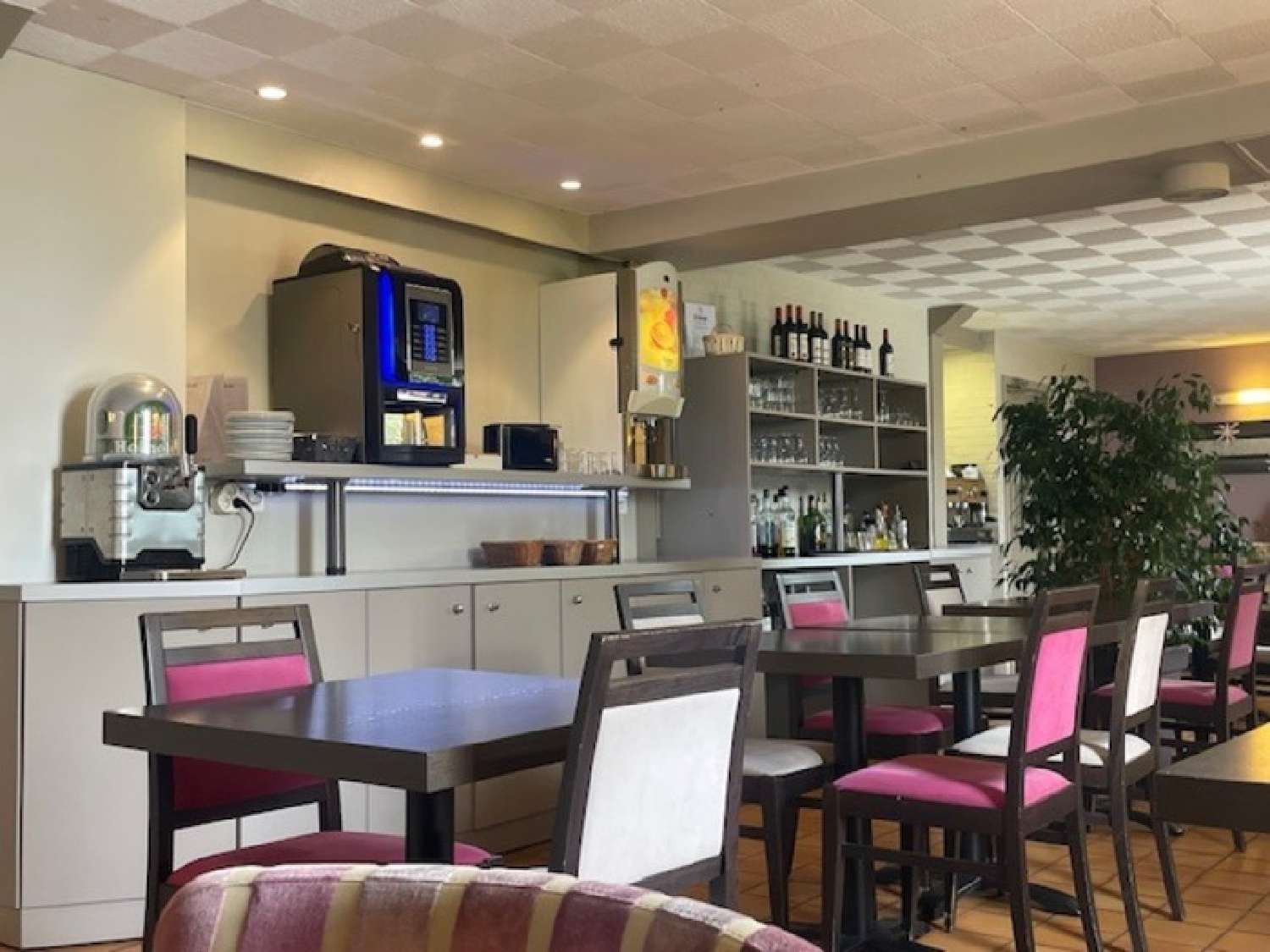 te koop restaurant Orthez Pyrénées-Atlantiques 4