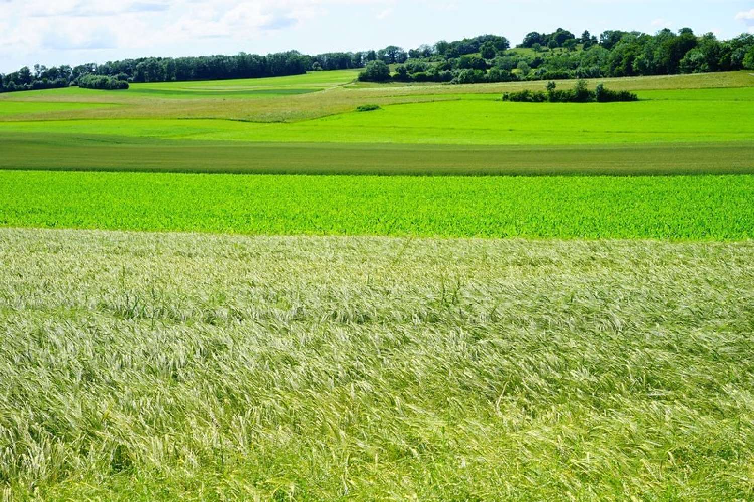  te koop terrein Achères Yvelines 1