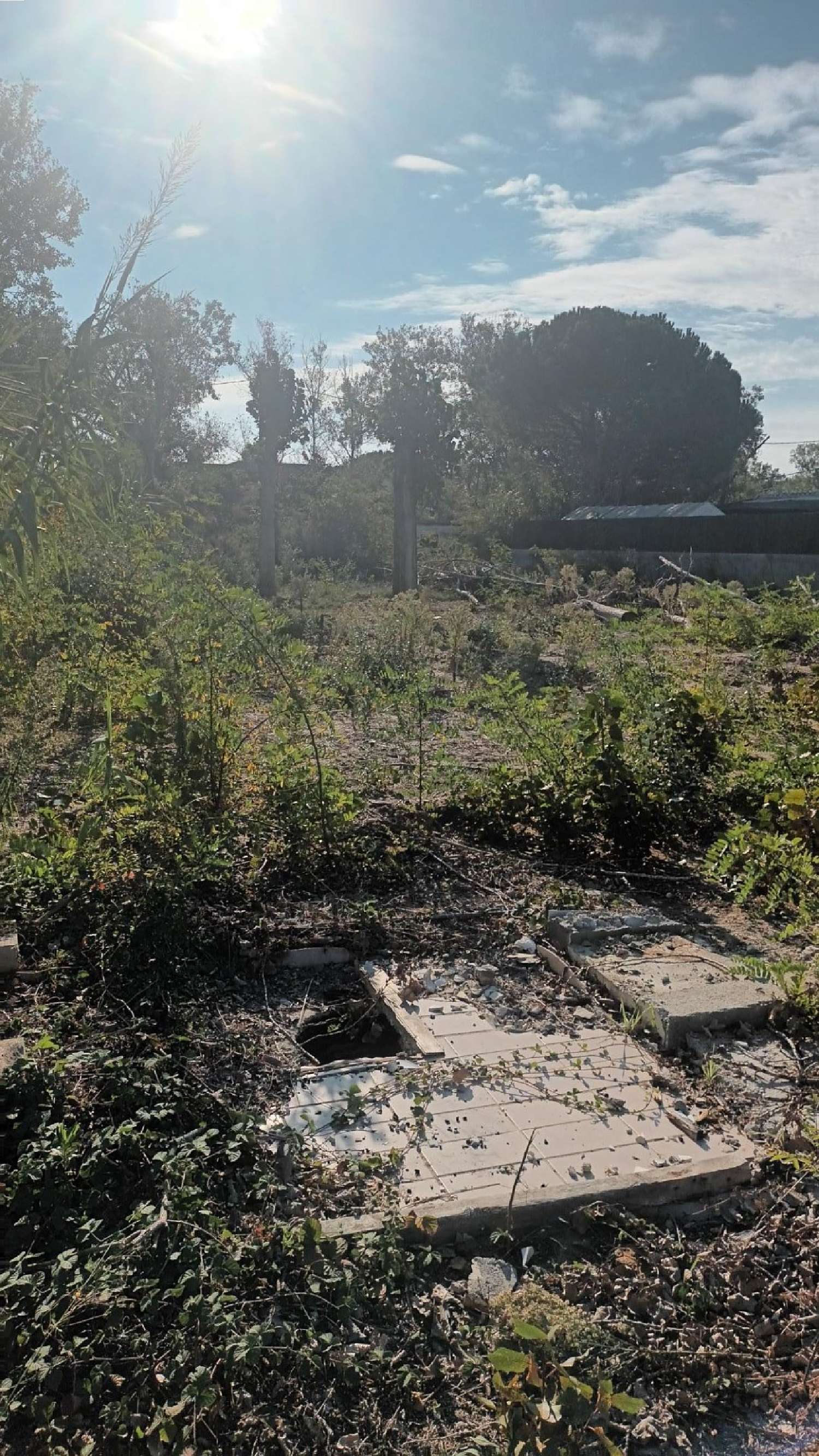  à vendre terrain Agde Hérault 1
