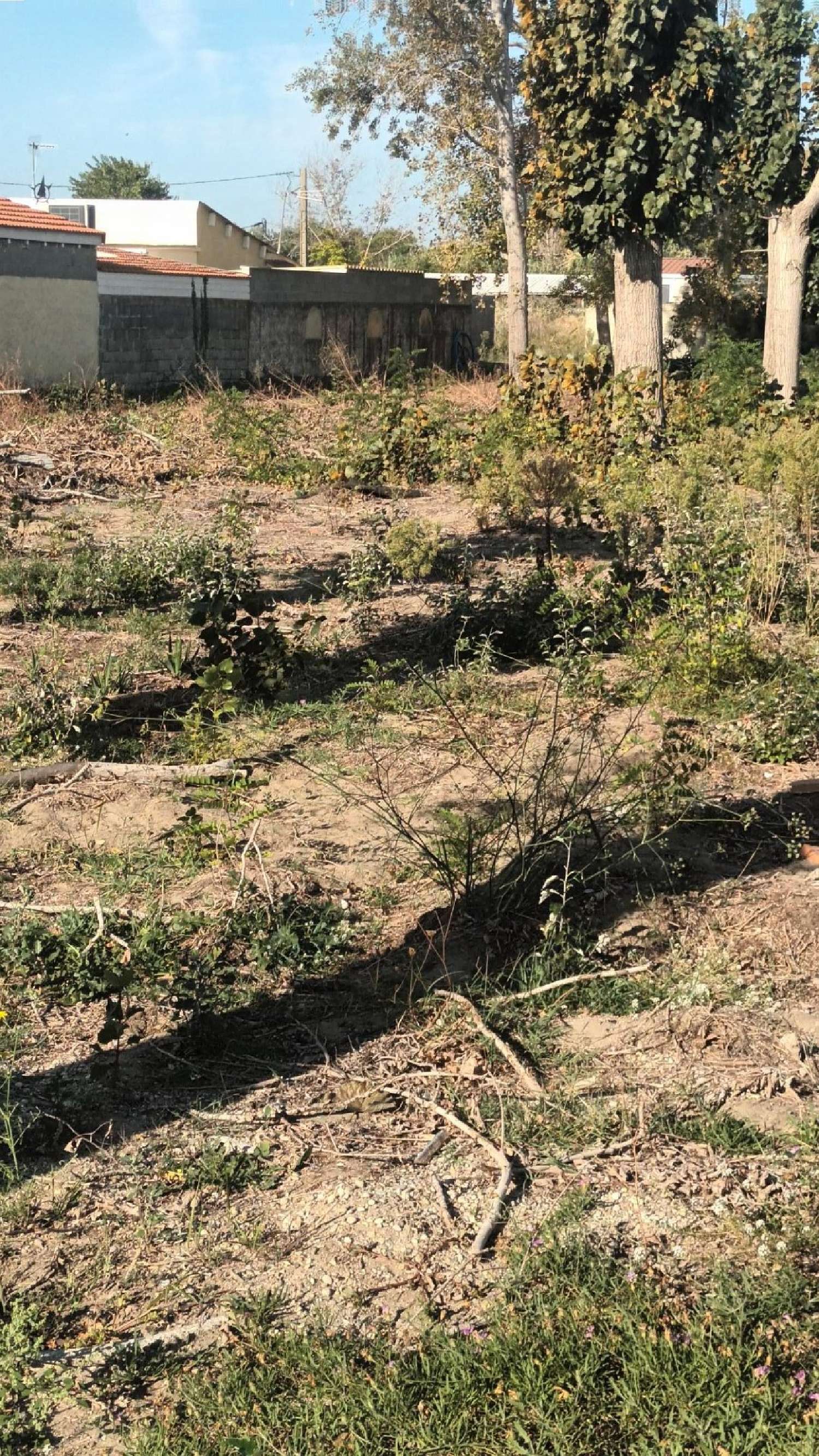  à vendre terrain Agde Hérault 3