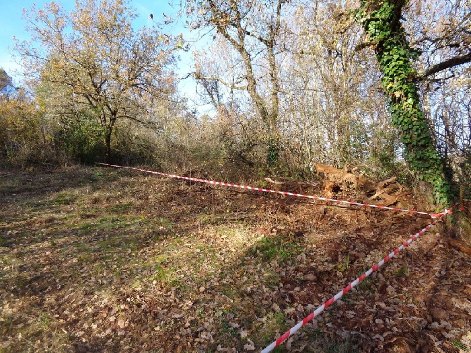  te koop terrein Albi Tarn 2