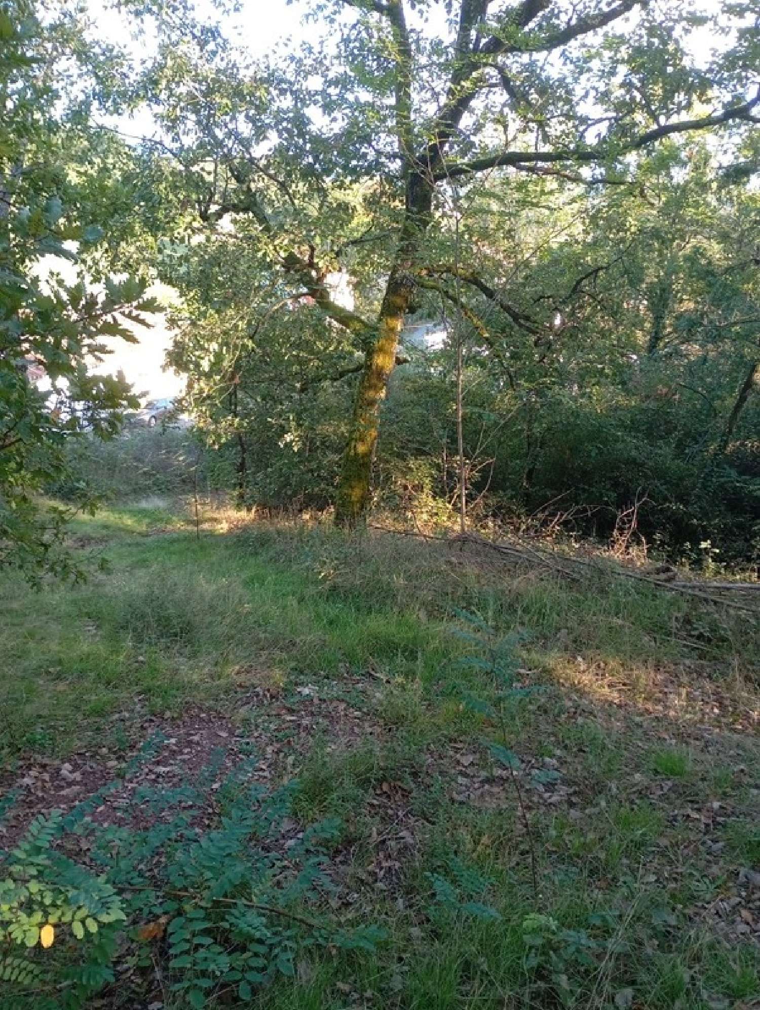 te koop terrein Albi Tarn 4