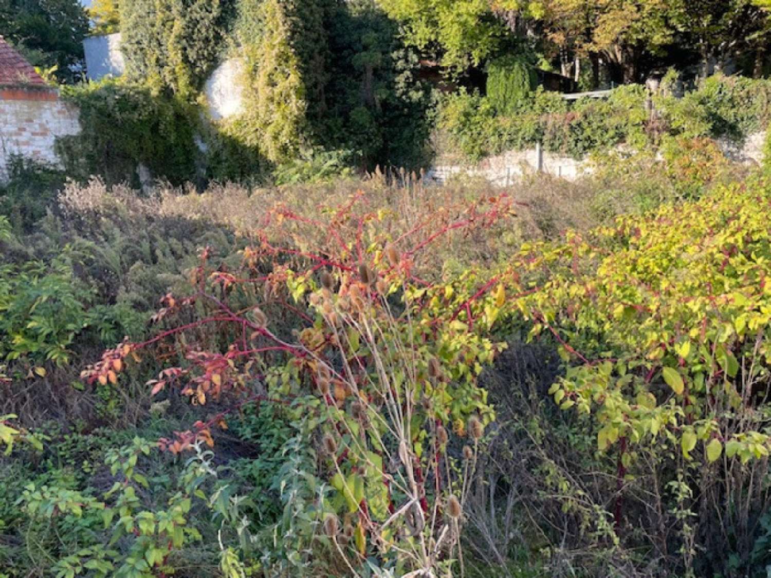  à vendre terrain Angoulême Charente 2