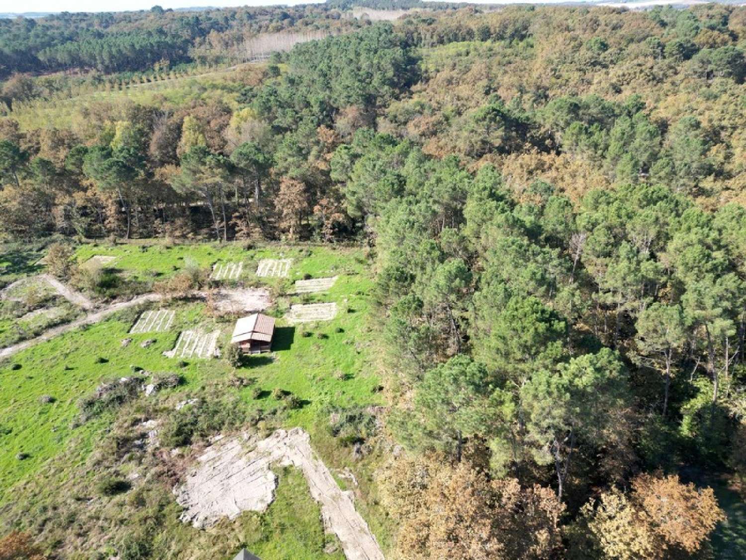  à vendre terrain Argenton Lot-et-Garonne 4