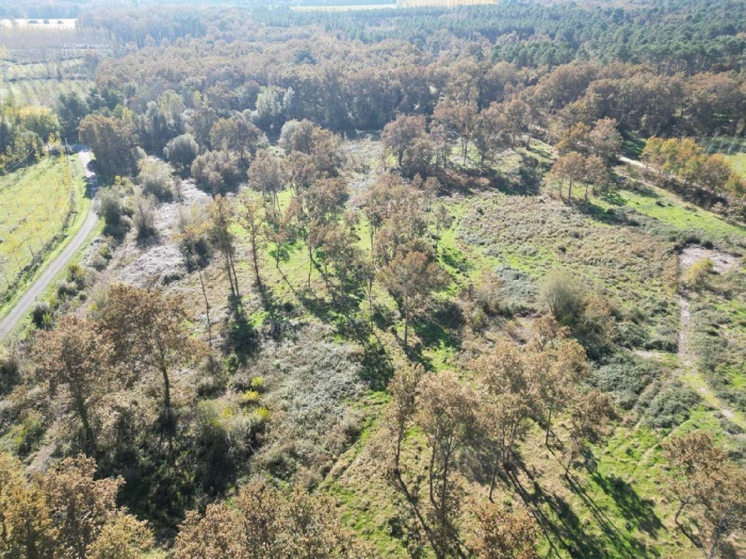 à vendre terrain Argenton Lot-et-Garonne 5