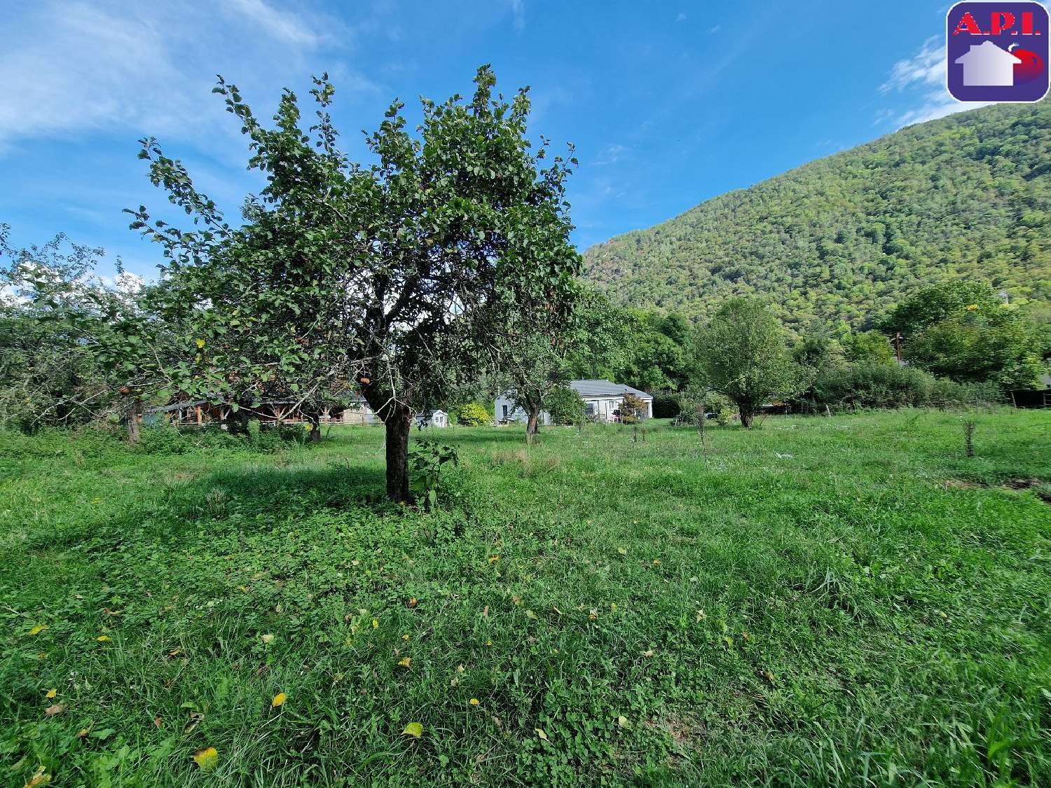  à vendre terrain Aston Ariège 4