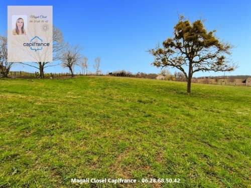 Authumes Saône-et-Loire terreno foto 7149714