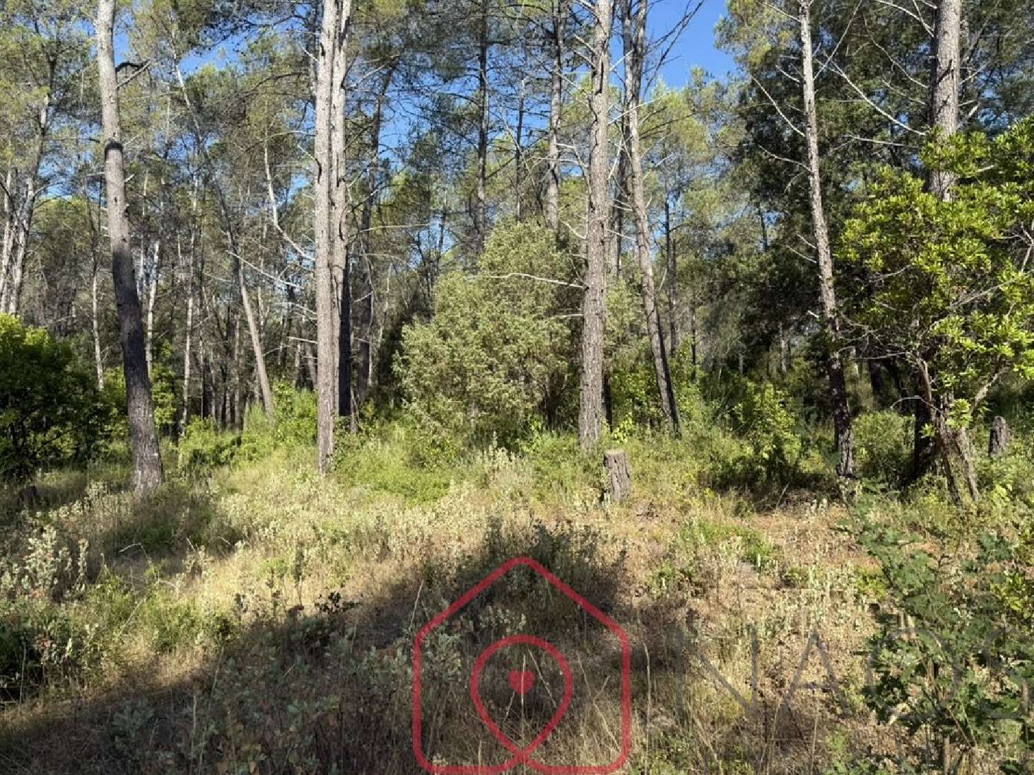  for sale terrain Bagnols-en-Forêt Var 2