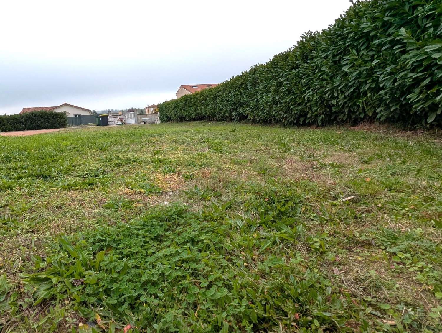 à vendre terrain Balbigny Loire 3