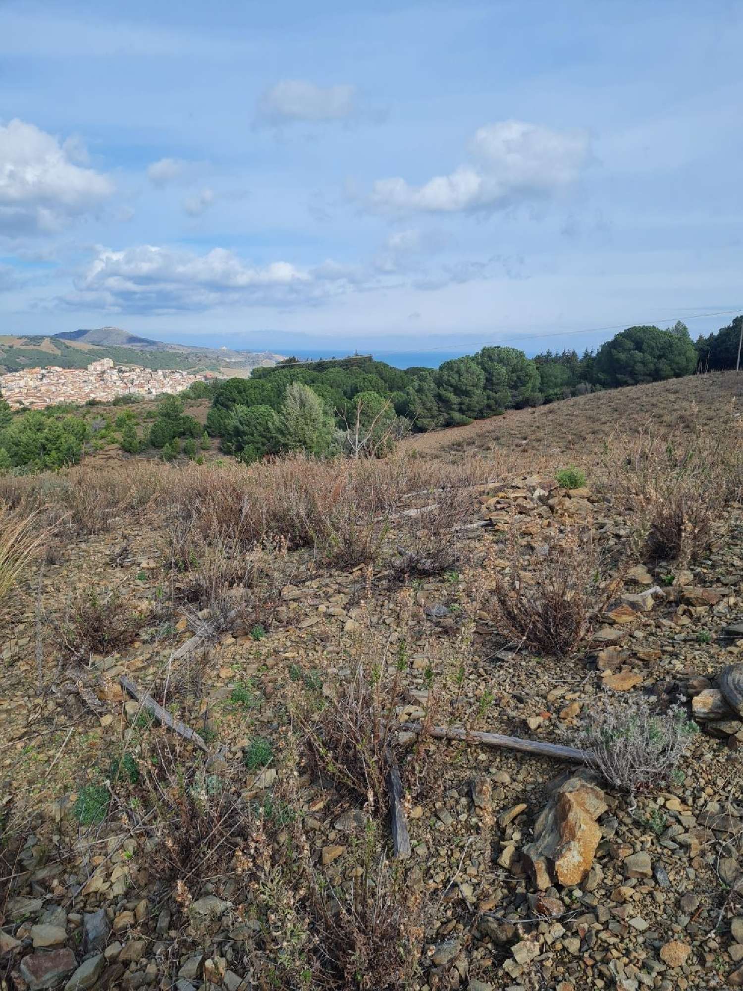 te koop terrein Banyuls-sur-Mer Pyrénées-Orientales 2